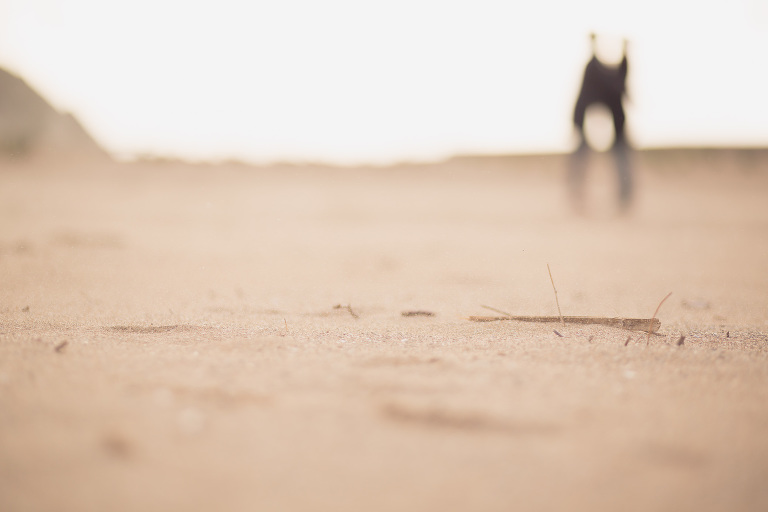 preboda-aroa-jaione-23